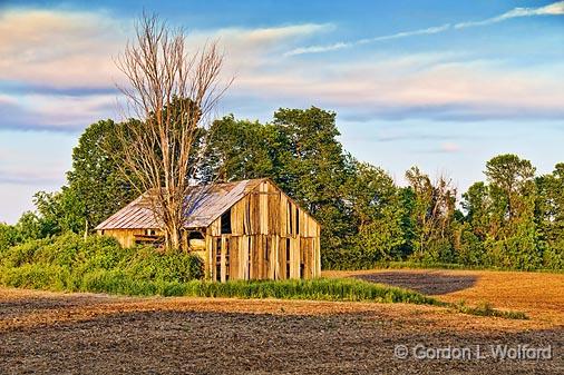 Barn In A Field_10639.jpg - Photographed at sunset near Portland, Ontario, Canada.